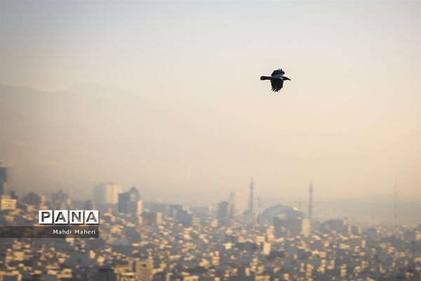 آلودگی هوای تهران