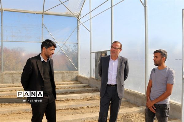 بازدید از واحدهای بسته‌بندی و صادرات مرکبات در میاندورود