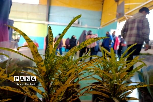 نمایشگاه «گلدان سبز من» در پاکدشت