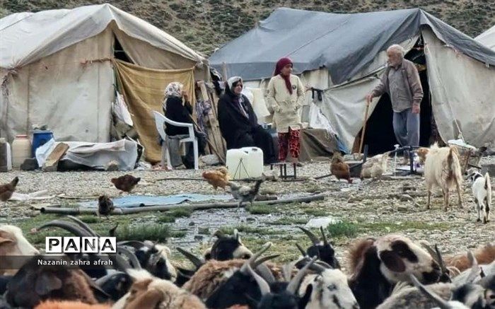 طرح مرتع‌داری جایگزین پروانه چرا شود