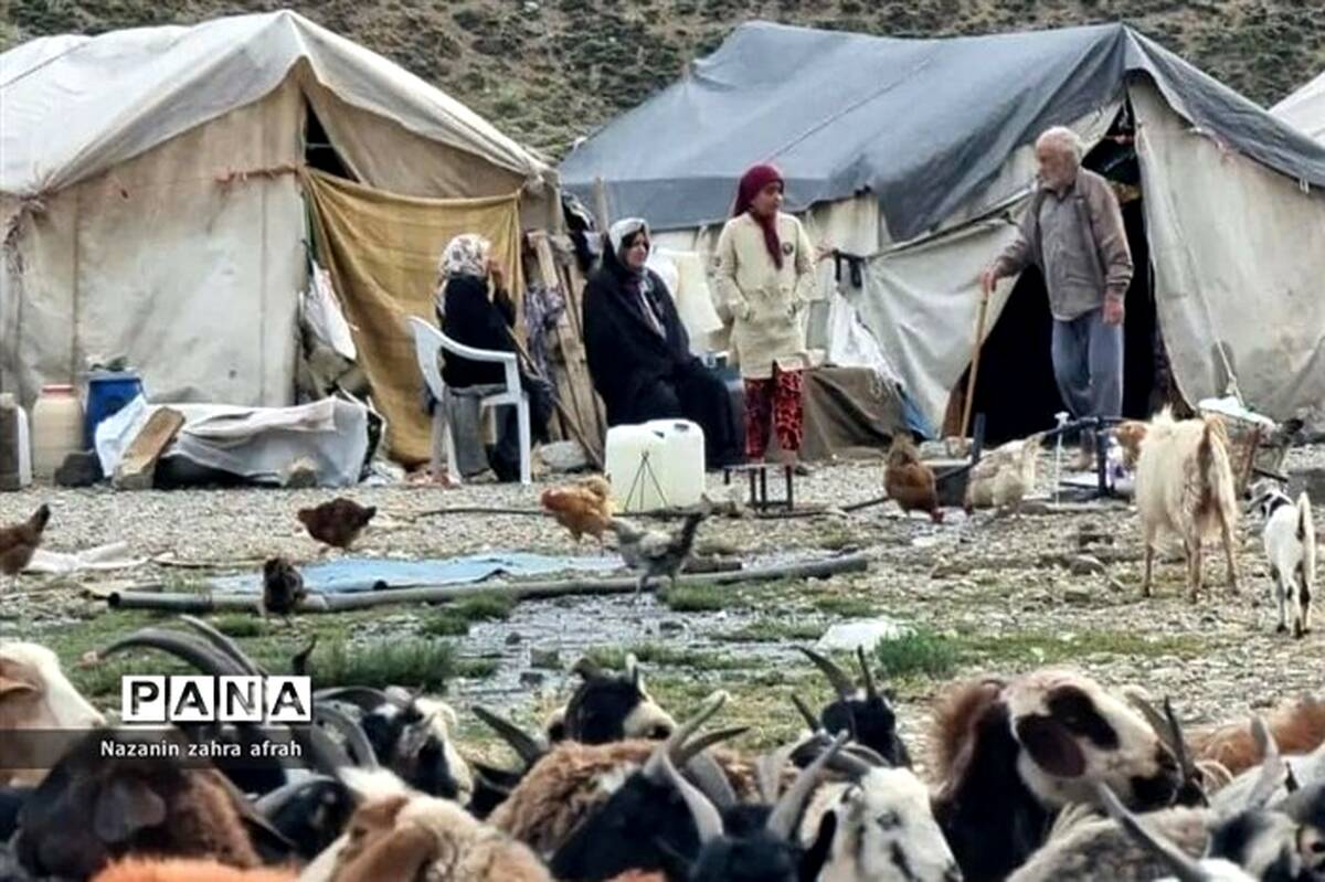 طرح مرتع‌داری جایگزین پروانه چرا شود