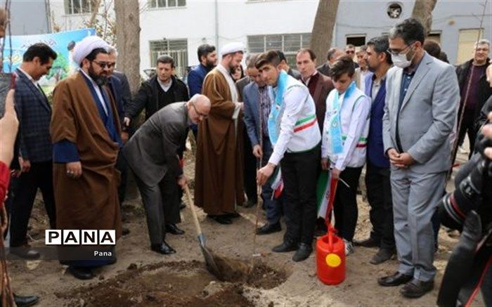 درخت مظهر حیات انسان است