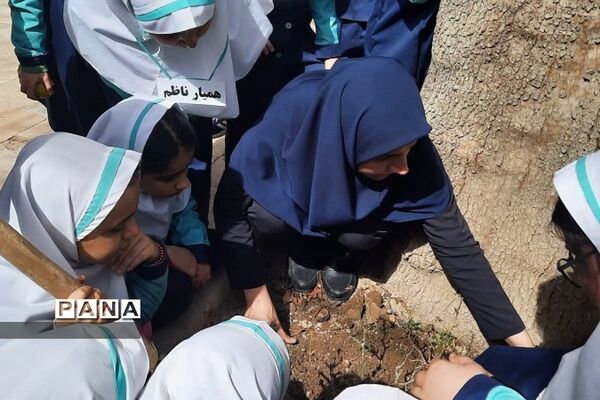 آیین روز درختکاری در مدارس رودهن