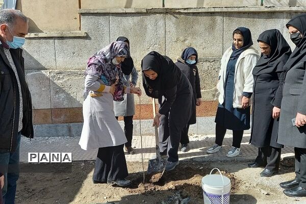 آیین روز درختکاری در مدارس رودهن