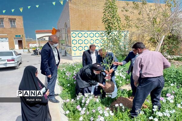 کاشت چند اصله درخت به مناسبت روز درختکاری در اداره آموزش و پرورش بهبهان