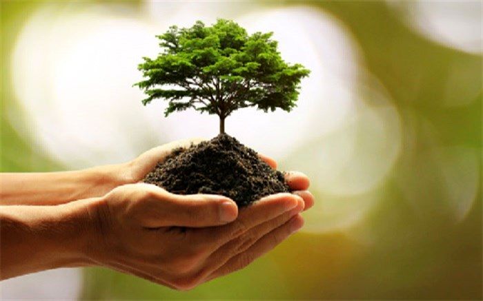 تخریب و نابودی منابع طبیعی، ستم درحق همگان است