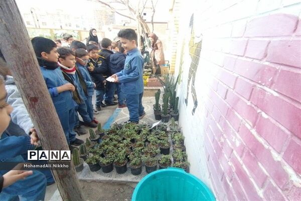 بازارچه گل و گیاه مدرسه حضرت مهدی پاکدشت