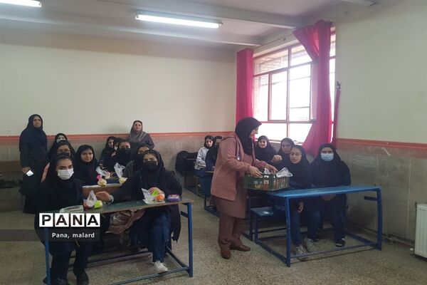 جشن روز جوان در مدارس ملارد