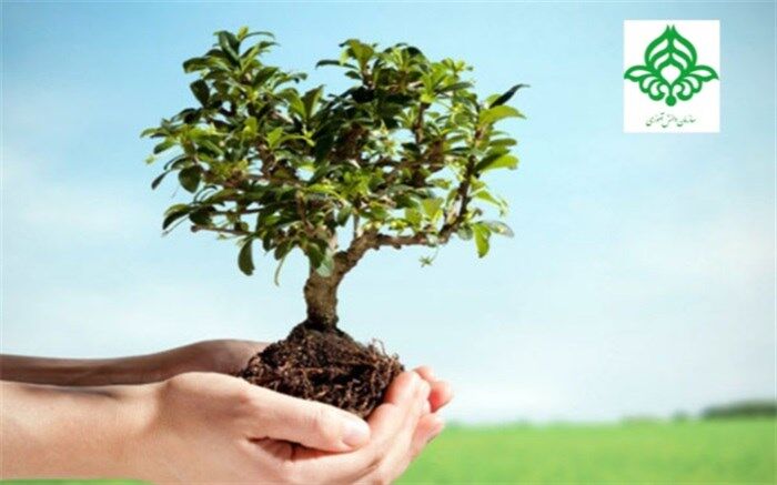 دانش‌آموزان در روز درختکاری، دوستی با طبیعت را می‌آموزند