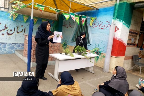 آموزش کاشت و نگهداری گیاهان آپارتمانی در دبیرستان نرجس منطقه ۱۳