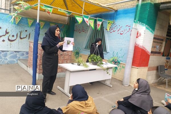 آموزش کاشت و نگهداری گیاهان آپارتمانی در دبیرستان نرجس منطقه ۱۳