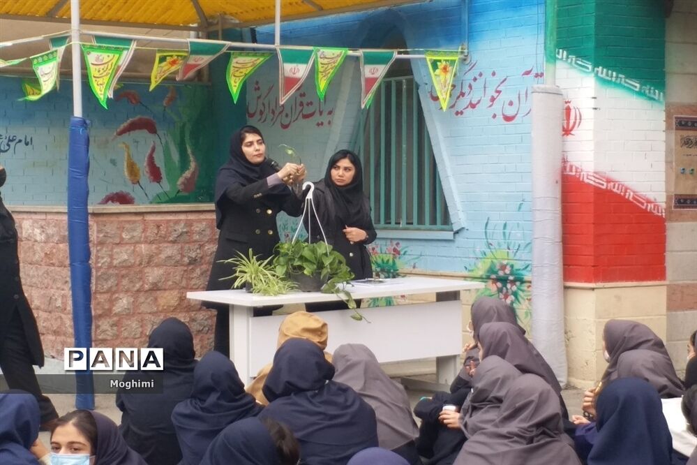 آموزش کاشت و نگهداری گیاهان آپارتمانی در دبیرستان نرجس منطقه ۱۳