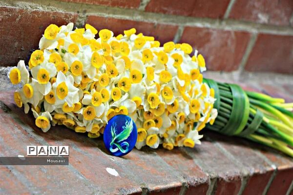 دورهمی دختران بینهایتی شهر تهران در آستانه نیمه شعبان