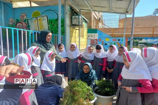 کاشت نهال در مدارس شهید همت و شکوفه‌های دانش ملارد