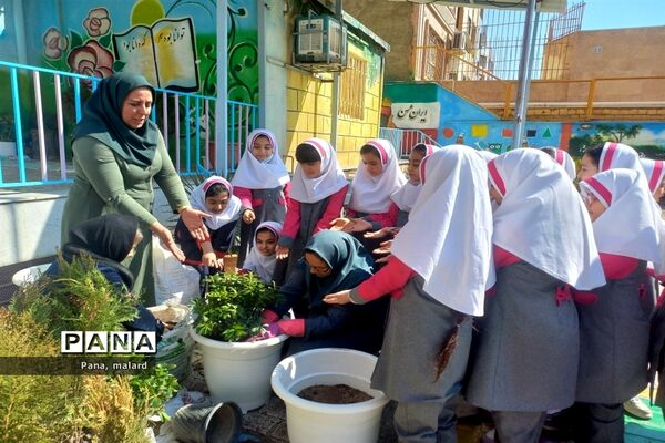 کاشت نهال در مدارس شهید همت و شکوفه‌های دانش ملارد