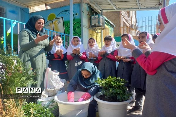 کاشت نهال در مدارس شهید همت و شکوفه‌های دانش ملارد