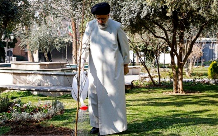 غرس نهال گردو توسط آِیت الله رئیسی در باغ گیاه‌شناسی