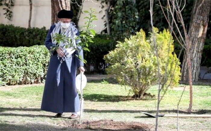 کاشت نهال توسط رهبر انقلاب در روز درختکاری