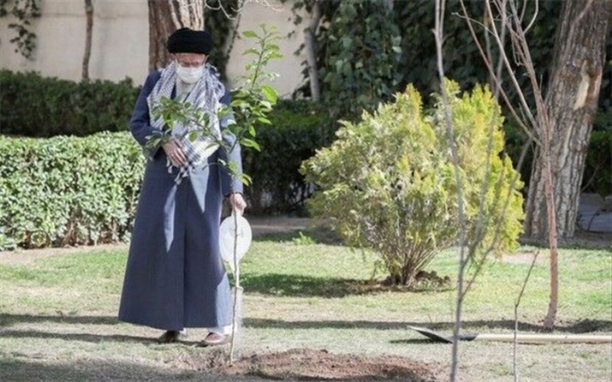 کاشت نهال توسط رهبر انقلاب در روز درختکاری