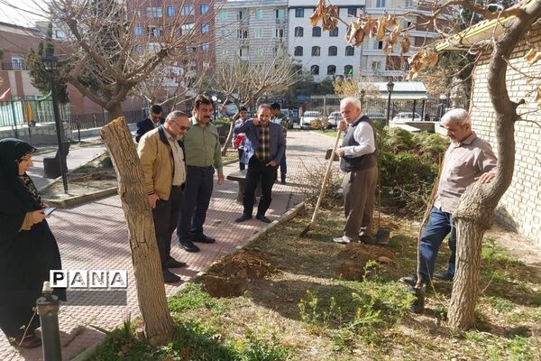 روز درختکاری فرصتی برای دوباره زیستن