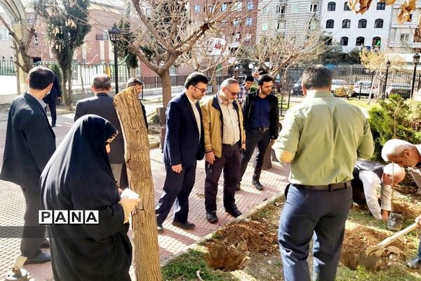 روز درختکاری فرصتی برای دوباره زیستن