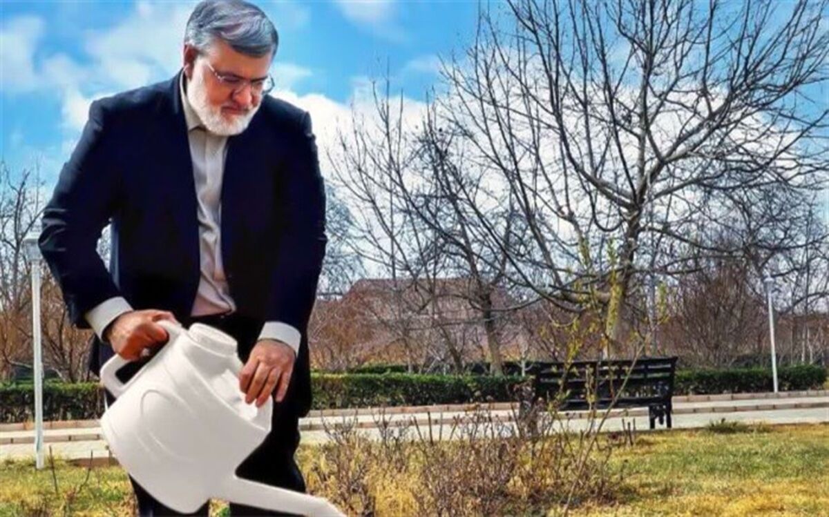 ۵۰‌ میلیون نهال در آذربایجان‌غربی کاشته‌ می‌شود