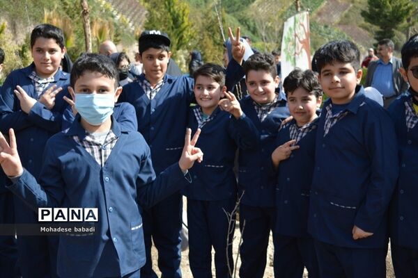طرح ماندگار غرس نهال در منطقه 2 تهران