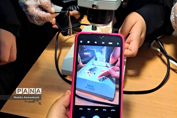 کارگاه آناتومی و تشریح حیوانات آزمایشگاهی در پاکدشت