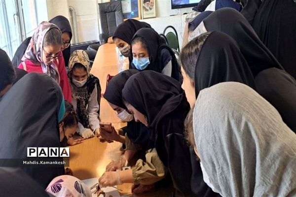 کارگاه آناتومی و تشریح حیوانات آزمایشگاهی در پاکدشت