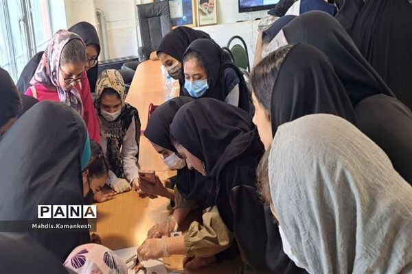 کارگاه آناتومی و تشریح حیوانات آزمایشگاهی در پاکدشت