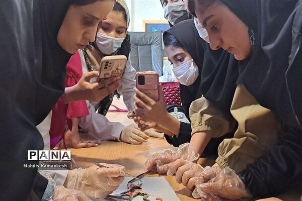 کارگاه آناتومی و تشریح حیوانات آزمایشگاهی در پاکدشت
