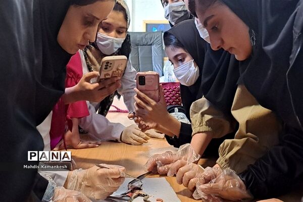 کارگاه آناتومی و تشریح حیوانات آزمایشگاهی در پاکدشت