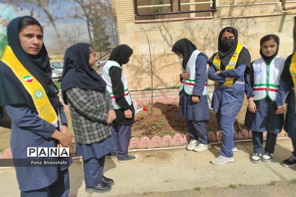 روز درختکاری در بیرانشهر