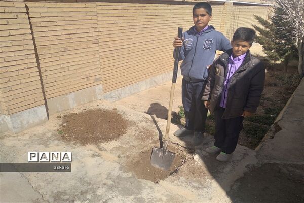 جشن روز درختکاری در مدارس عشایری شهرستان خاتم