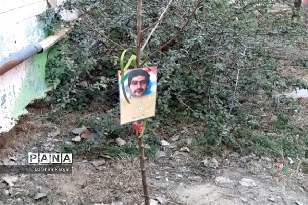 کاشت نهال به یاد شهید حاج قاسم سلیمانی و شهید کبیری طامه