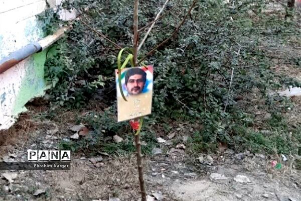 کاشت نهال به یاد شهید حاج قاسم سلیمانی و شهید کبیری طامه