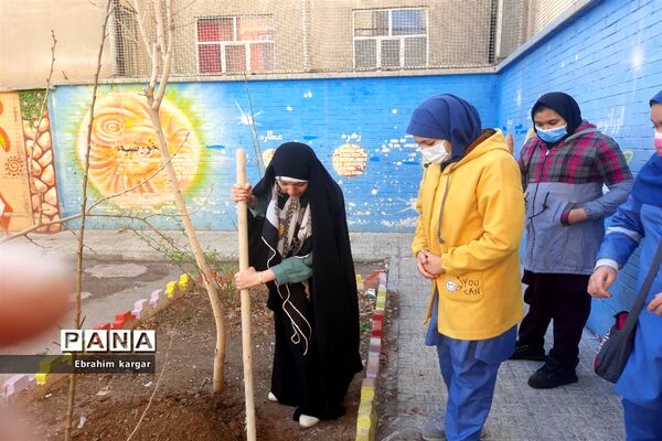 کاشت نهال به یاد شهید حاج قاسم سلیمانی و شهید کبیری طامه