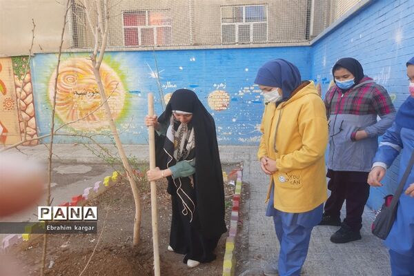 کاشت نهال به یاد شهید حاج قاسم سلیمانی و شهید کبیری طامه