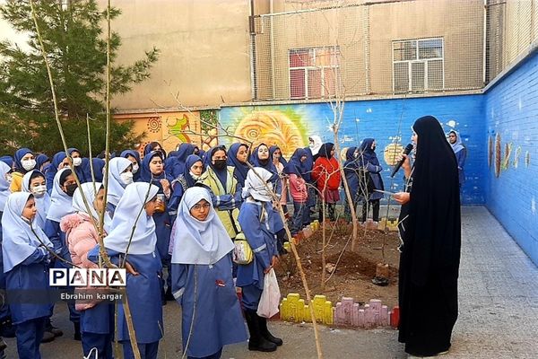 کاشت نهال به یاد شهید حاج قاسم سلیمانی و شهید کبیری طامه