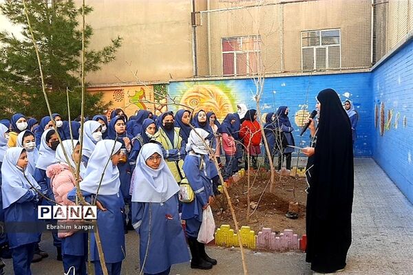 کاشت نهال به یاد شهید حاج قاسم سلیمانی و شهید کبیری طامه