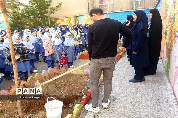 کاشت نهال به یاد شهید حاج قاسم سلیمانی و شهید کبیری طامه