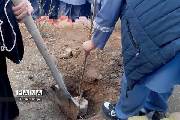 کاشت نهال به یاد شهید حاج قاسم سلیمانی و شهید کبیری طامه