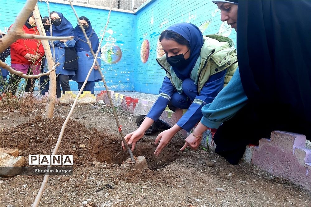 کاشت نهال به یاد شهید حاج قاسم سلیمانی و شهید کبیری طامه