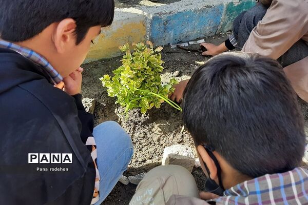 مراسم روز درختکاری در دبستان امام حسن مجتبی(ع) رودهن