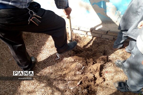برگزاری جشنواره درختکاری در بخش جوادآباد