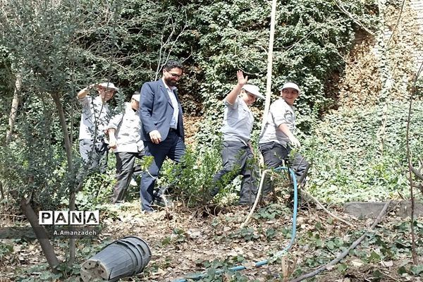 با کاشت هر درخت، یادشهیدی را زنده نگه می‌داریم