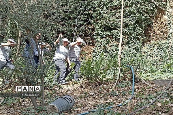 با کاشت هر درخت، یادشهیدی را زنده نگه می‌داریم