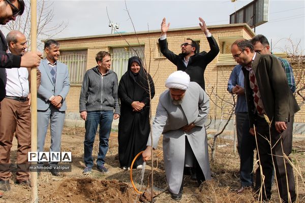 آیین روز درختکاری در قزوین