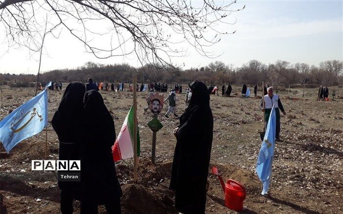 درختکاری یک سنت حسنه و راهی برای زندگی بهتر  آیندگان است