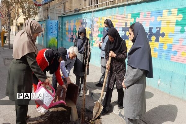 گرامیداشت روز درختکاری درناحیه 3  مشهد